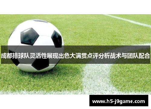 成都排球队灵活性展现出色大满贯点评分析战术与团队配合